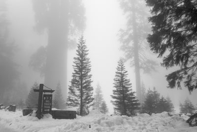 Vacanze invernali nel Sequoia National Park