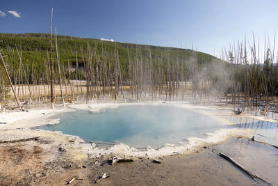 The Wonders and Mysteries of Yellowstone