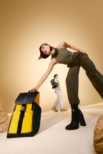 E-commerce Advertising Strategy for Lifestyle Brand Grew Luggage Brand  Delsey Luggage 142% 