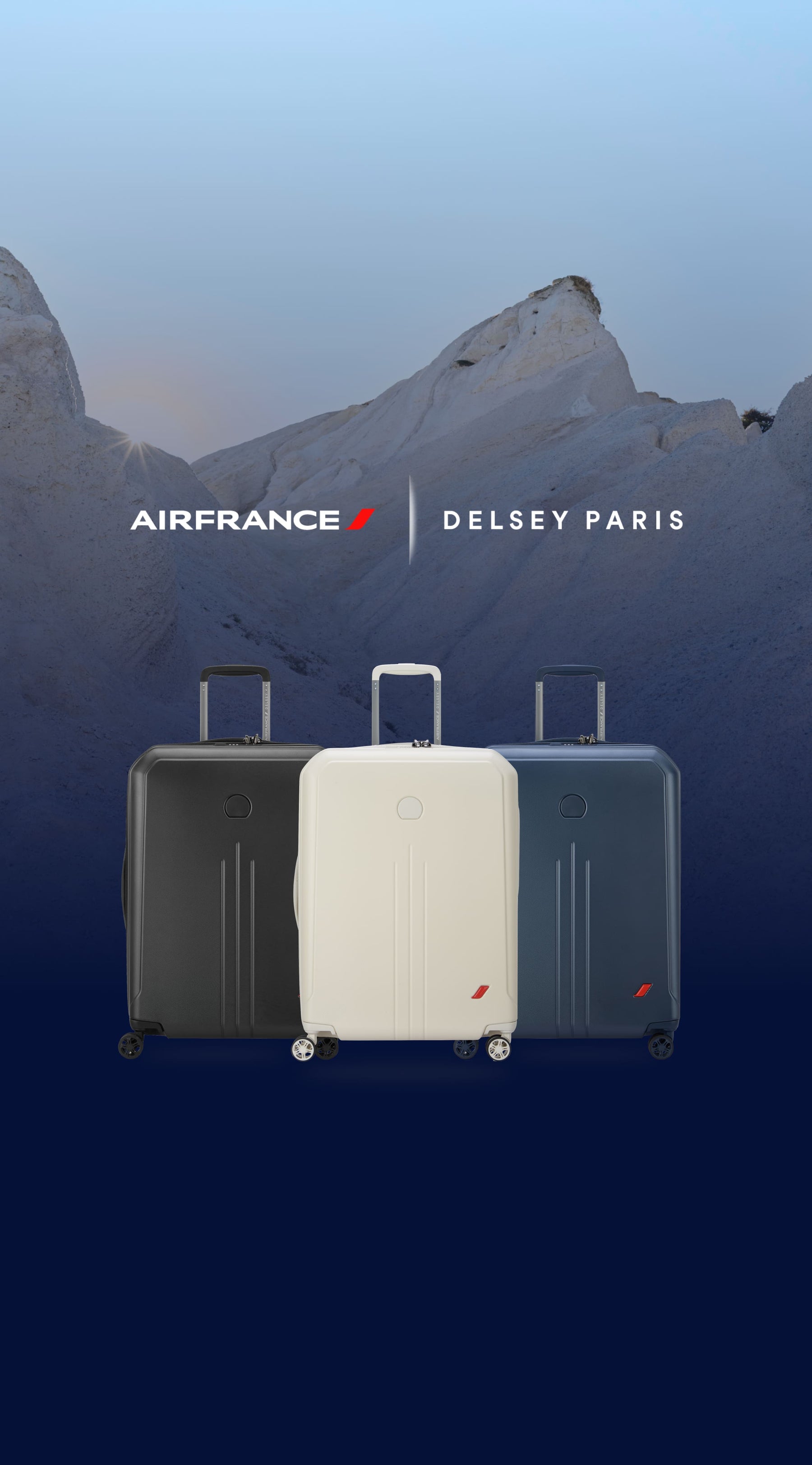 Baggage  Air France