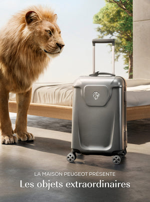 Protege Mini 2 Pack PVC Luggage Tag, Bon Voyage / Explore, Teal